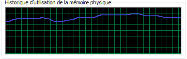 Mémoire saturée